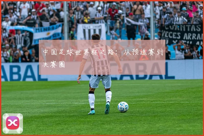 中国足球世界杯之路：从预选赛到决赛圈
