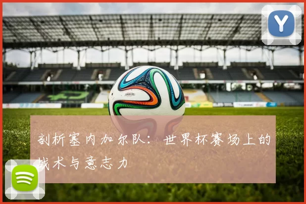 剖析塞内加尔队：世界杯赛场上的战术与意志力