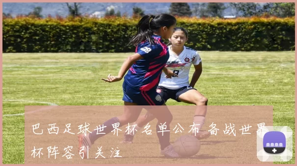 巴西足球世界杯名单公布 备战世界杯阵容引关注