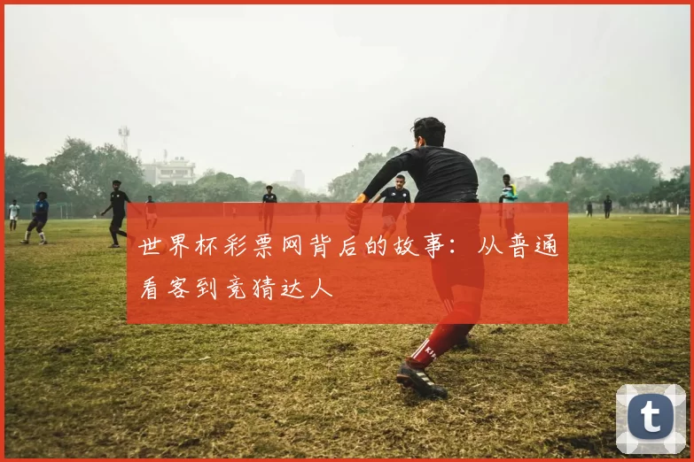 世界杯彩票网背后的故事：从普通看客到竞猜达人