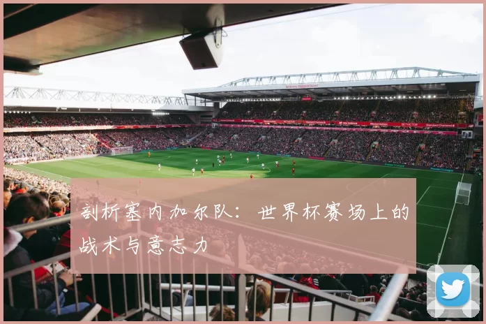 剖析塞内加尔队:世界杯赛场上的战术与意志力