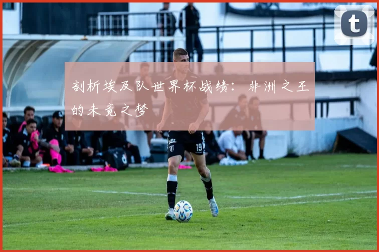 剖析埃及队世界杯战绩:非洲之王的未竟之梦