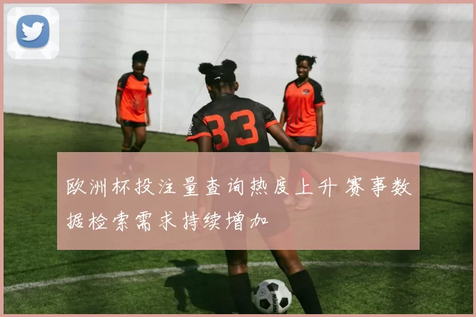 欧洲杯投注量查询热度上升 赛事数据检索需求持续增加