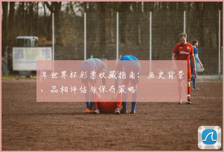 年世界杯彩票收藏指南:历史背景、品相评估与保存策略
