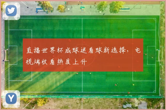 直播世界杯成球迷看球新选择,电视端收看热度上升