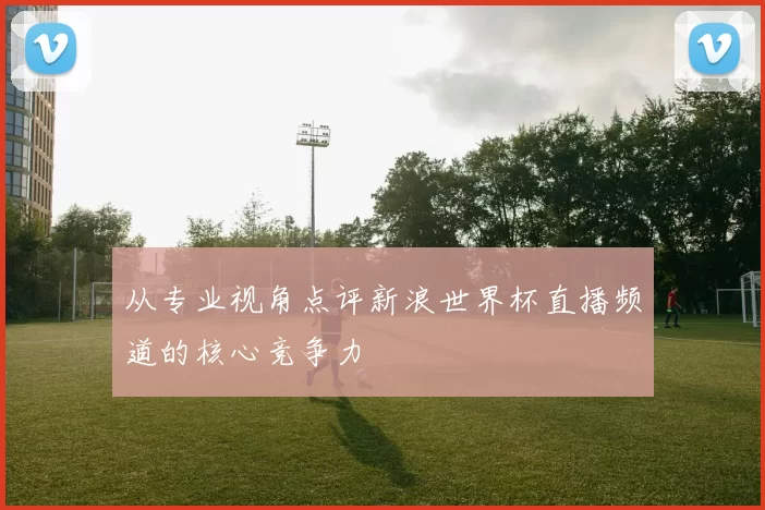 从专业视角点评新浪世界杯直播频道的核心竞争力