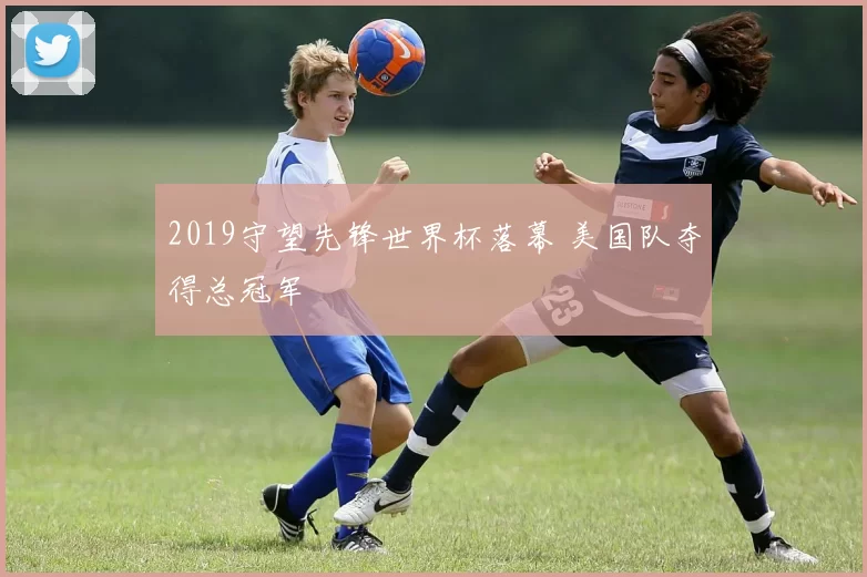 2019守望先锋世界杯落幕 美国队夺得总冠军