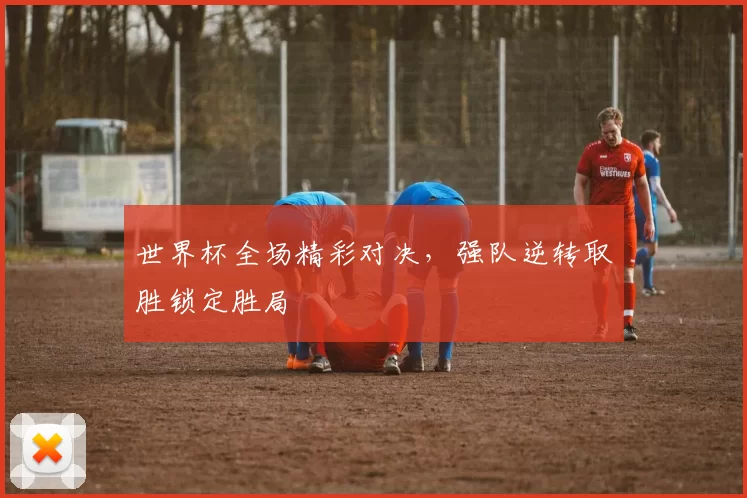 世界杯全场精彩对决,强队逆转取胜锁定胜局